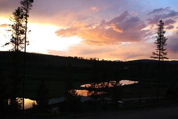 Photo 33