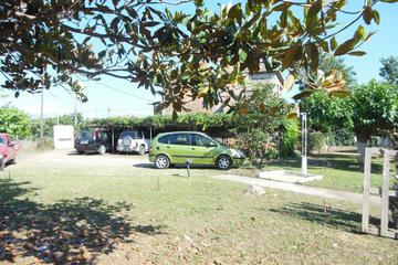 Photo 41