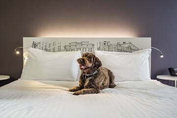 Pet-friendly