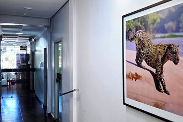 Handrails in hallways
