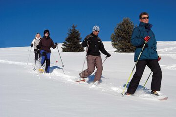 Snowshoeing
