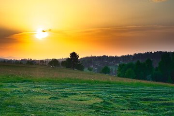 Land view from property