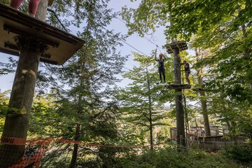 Ropes course (team building)