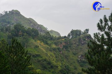 Mountain view