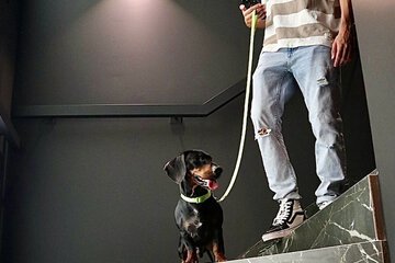Pet-friendly