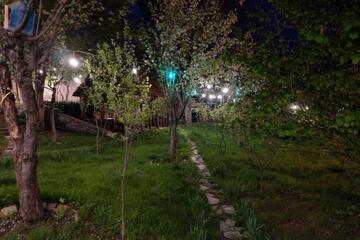 Photo 48