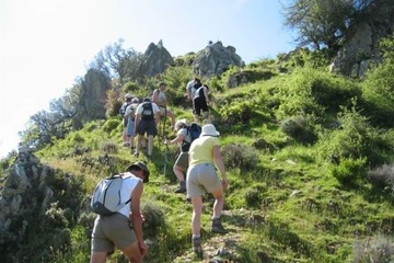 Hiking