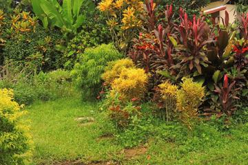 Photo 32