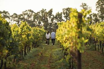 Winery