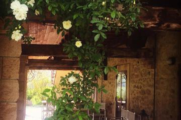Photo 40