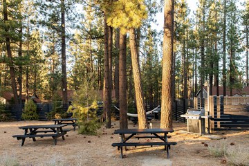 BBQ/picnic area