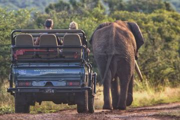 Game drive