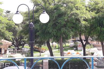 Photo 33