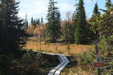 Photo 24