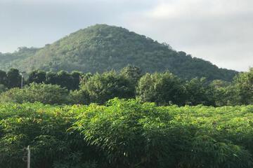 Photo 17