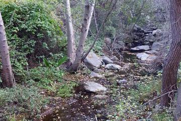 Photo 56