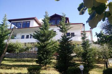 Photo 29