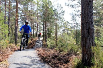 Bicycling