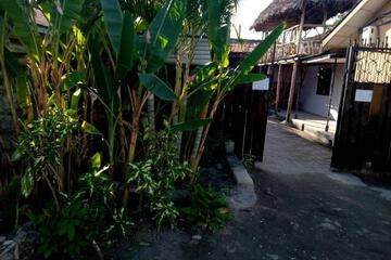Photo 29
