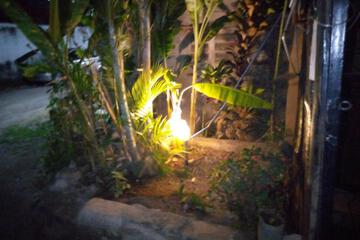 Photo 40