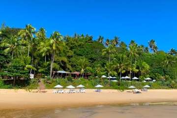 Beach bar