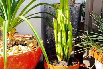 Hotel Exterior 115 of 115