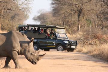 Game drive