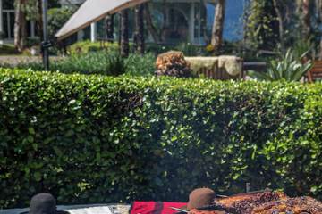 BBQ/picnic area