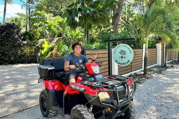 Scooter/moped