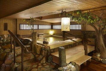 Public bath