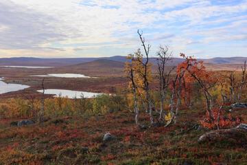 Photo 48