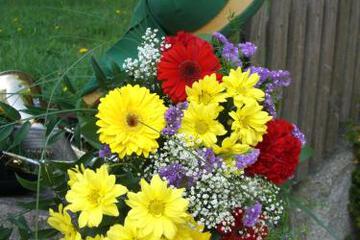Photo 41