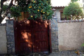 Photo 24