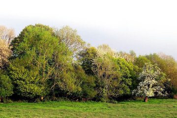 Ecotours