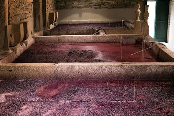 Winery