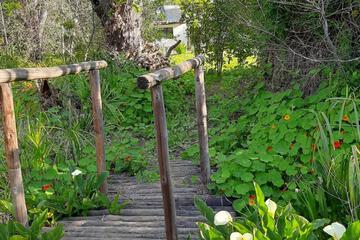 Photo 34
