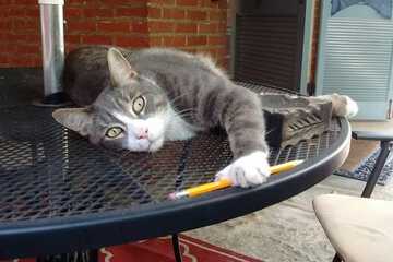 Hotel Interior 14 of 42