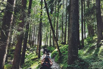 Hiking