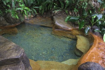 Natural pool
