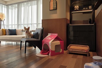 Pet-friendly