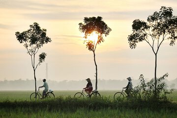 Bicycling