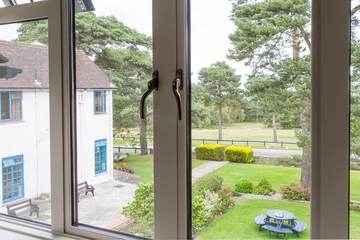 View from room