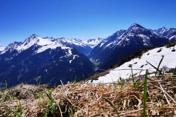 Photo 43