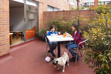Pet-friendly