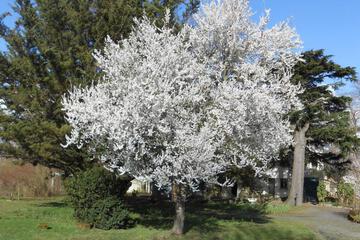 Photo 48
