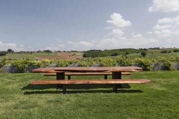 BBQ/picnic area