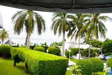 View from room
