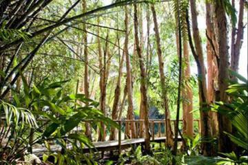Surrounding environment