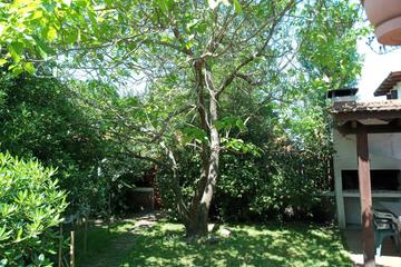 Photo 57
