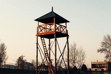 Photo 32